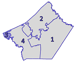 precinct map image