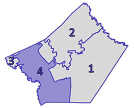 precinct map image