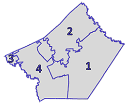 precinct map